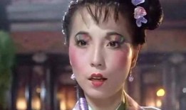 苑琼丹在线观看,重温经典，笑对人生