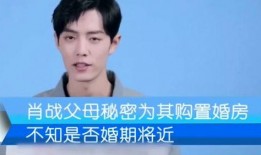 爆料肖战爸妈视频在线观看,揭秘明星家庭生活幕后